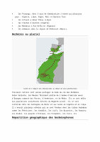 Fichier:Pointes de flèches sahariennes (Ouargla).jpg — Wikipédia
